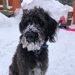 Meet your Posher, Gillian